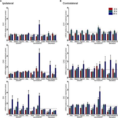 Altered Biogenesis and MicroRNA Content of Hippocampal Exosomes Following Experimental Status Epilepticus